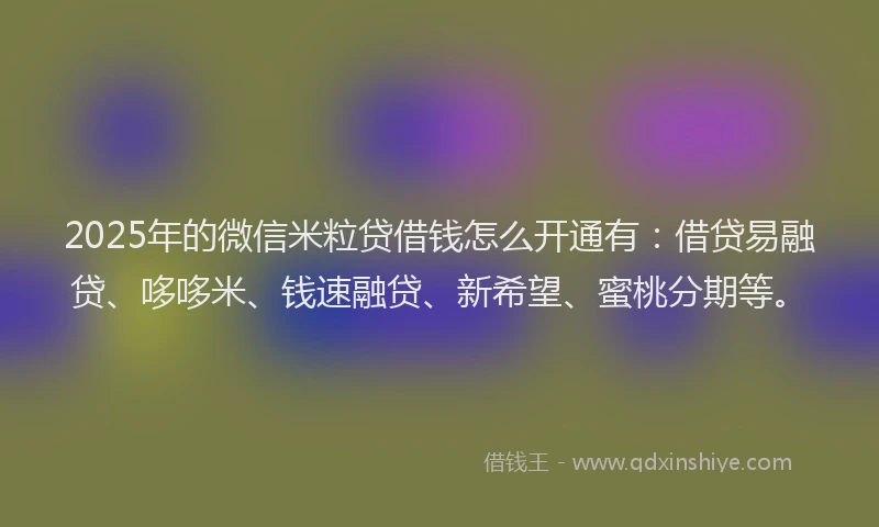 2025年的微信米粒贷借钱怎么开通有：借贷易融贷、哆哆米、钱速融贷、新希望、蜜桃分期等。