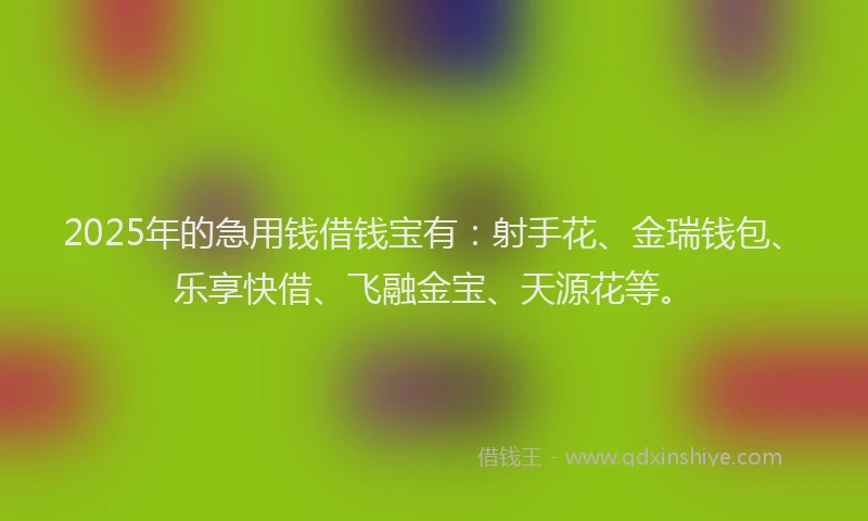 2025年的急用钱借钱宝有：射手花、金瑞钱包、乐享快借、飞融金宝、天源花等。