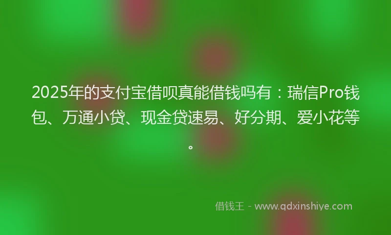 2025年的支付宝借呗真能借钱吗有：瑞信Pro钱包、万通小贷、现金贷速易、好分期、爱小花等。