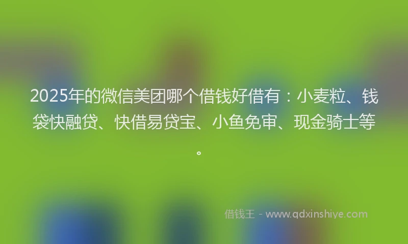 2025年的微信美团哪个借钱好借有：小麦粒、钱袋快融贷、快借易贷宝、小鱼免审、现金骑士等。