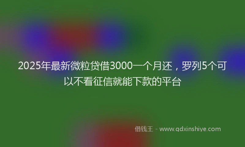 2025年最新微粒贷借3000一个月还，罗列5个可以不看征信就能下款的平台
