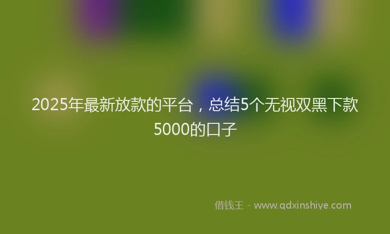2025年最新放款的平台，总结5个无视双黑下款5000的口子
