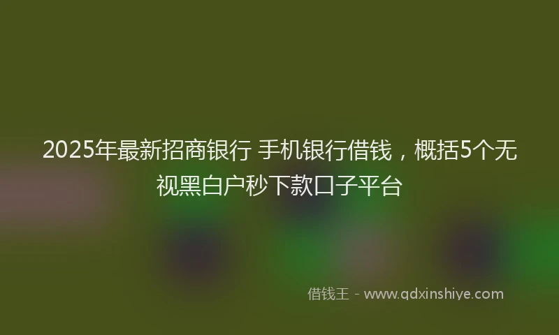 2025年最新招商银行 手机银行借钱，概括5个无视黑白户秒下款口子平台