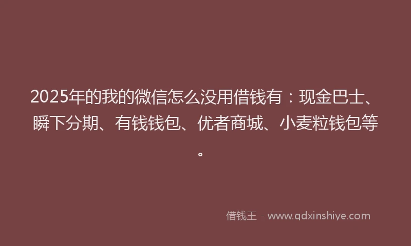 2025年的我的微信怎么没用借钱有：现金巴士、瞬下分期、有钱钱包、优者商城、小麦粒钱包等。