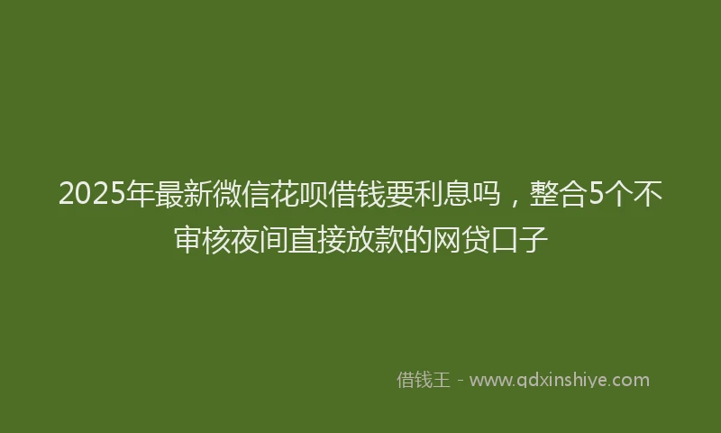 2025年最新微信花呗借钱要利息吗，整合5个不审核夜间直接放款的网贷口子