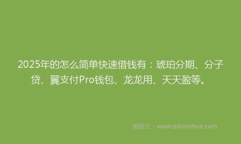 2025年的怎么简单快速借钱有：琥珀分期、分子贷、翼支付Pro钱包、龙龙用、天天盈等。