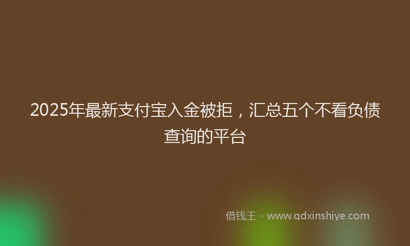 2025年最新支付宝入金被拒，汇总五个不看负债查询的平台
