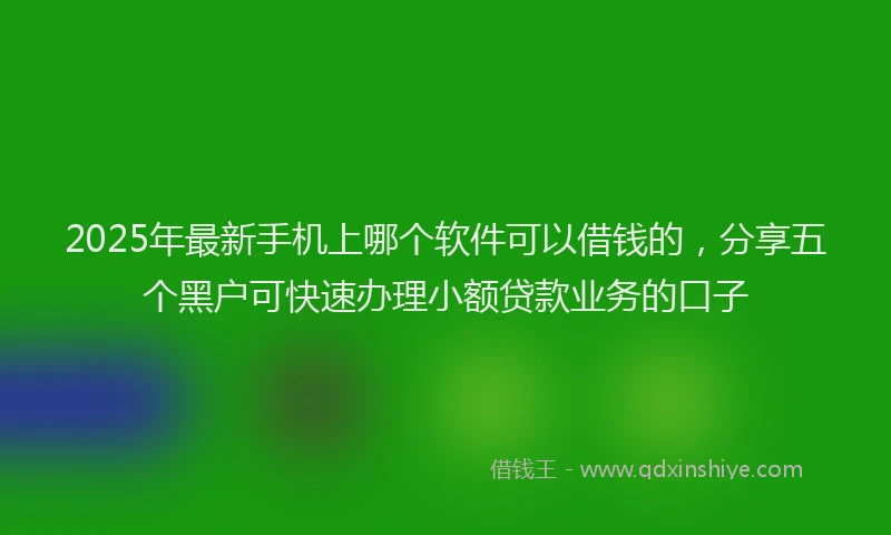 2025年最新手机上哪个软件可以借钱的，分享五个黑户可快速办理小额贷款业务的口子
