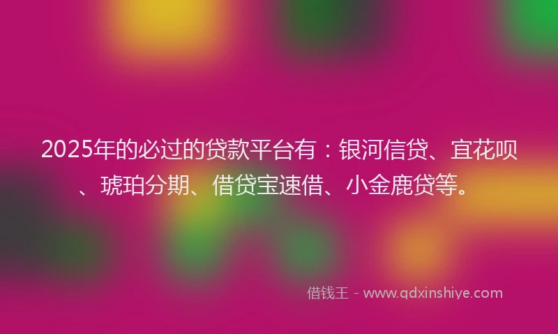 2025年的必过的贷款平台有：银河信贷、宜花呗、琥珀分期、借贷宝速借、小金鹿贷等。