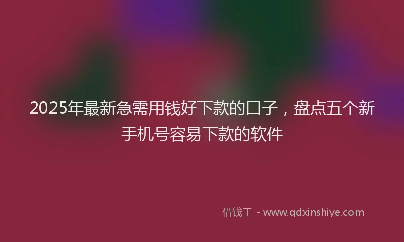 2025年最新急需用钱好下款的口子，盘点五个新手机号容易下款的软件