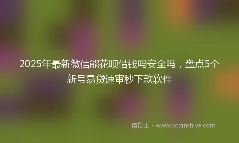 2025年最新微信能花呗借钱吗安全吗，盘点5个新号易贷速审秒下款软件