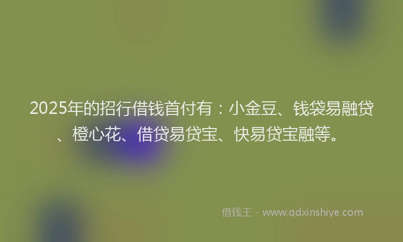 2025年的招行借钱首付有：小金豆、钱袋易融贷、橙心花、借贷易贷宝、快易贷宝融等。