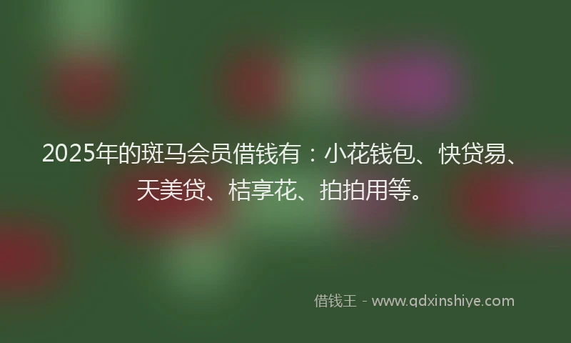 2025年的斑马会员借钱有：小花钱包、快贷易、天美贷、桔享花、拍拍用等。