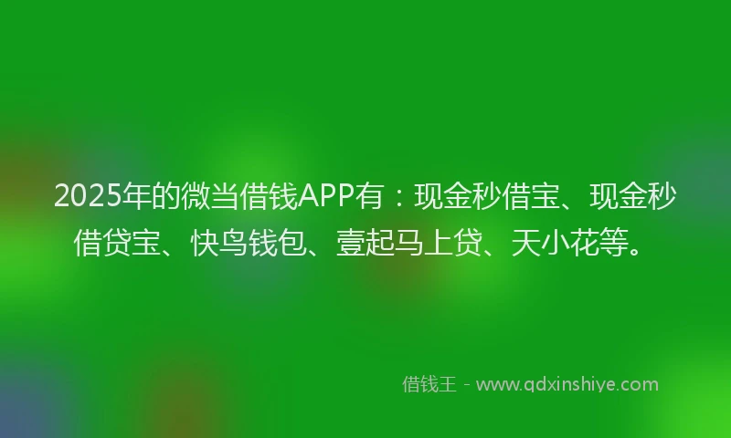 2025年的微当借钱APP有：现金秒借宝、现金秒借贷宝、快鸟钱包、壹起马上贷、天小花等。