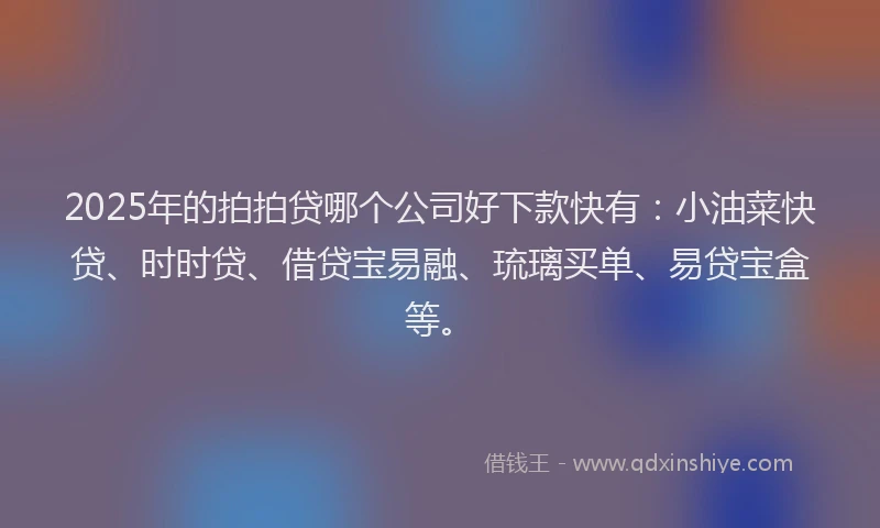 2025年的拍拍贷哪个公司好下款快有：小油菜快贷、时时贷、借贷宝易融、琉璃买单、易贷宝盒等。