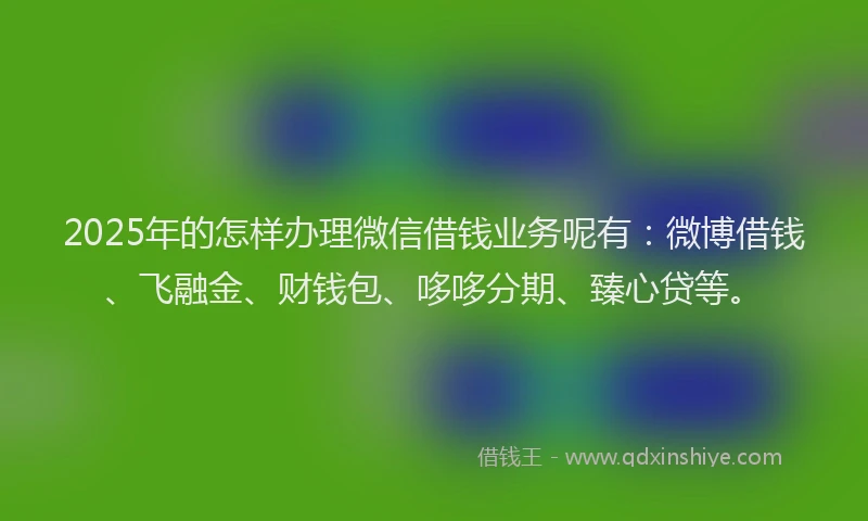 2025年的怎样办理微信借钱业务呢有：微博借钱、飞融金、财钱包、哆哆分期、臻心贷等。