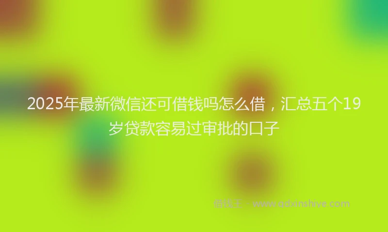 2025年最新微信还可借钱吗怎么借，汇总五个19岁贷款容易过审批的口子