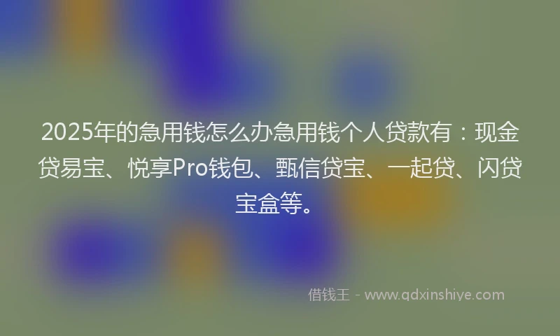 2025年的急用钱怎么办急用钱个人贷款有：现金贷易宝、悦享Pro钱包、甄信贷宝、一起贷、闪贷宝盒等。