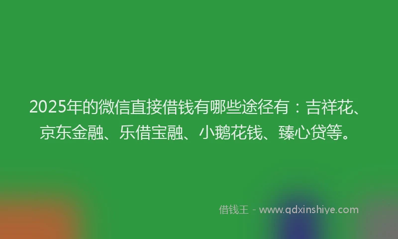 2025年的微信直接借钱有哪些途径有：吉祥花、京东金融、乐借宝融、小鹅花钱、臻心贷等。