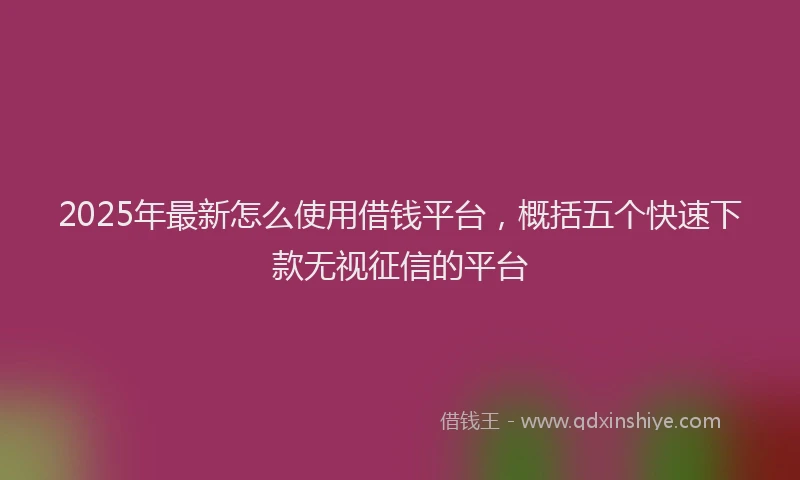 2025年最新怎么使用借钱平台，概括五个快速下款无视征信的平台