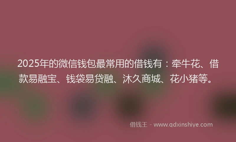 2025年的微信钱包最常用的借钱有：牵牛花、借款易融宝、钱袋易贷融、沐久商城、花小猪等。