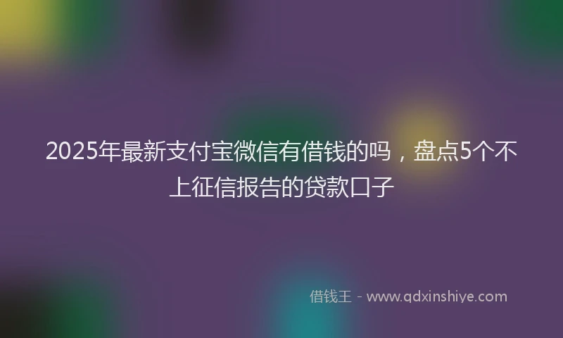 2025年最新支付宝微信有借钱的吗，盘点5个不上征信报告的贷款口子