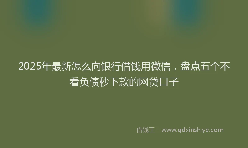 2025年最新怎么向银行借钱用微信，盘点五个不看负债秒下款的网贷口子