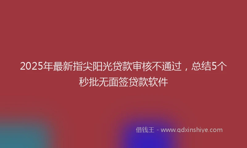 2025年最新指尖阳光贷款审核不通过，总结5个秒批无面签贷款软件