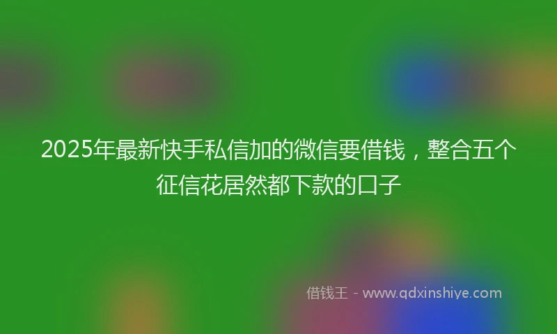2025年最新快手私信加的微信要借钱，整合五个征信花居然都下款的口子