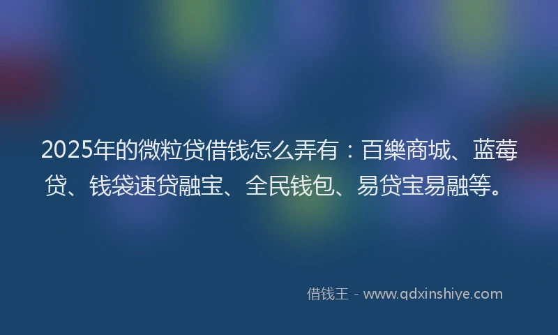 2025年的微粒贷借钱怎么弄有：百樂商城、蓝莓贷、钱袋速贷融宝、全民钱包、易贷宝易融等。
