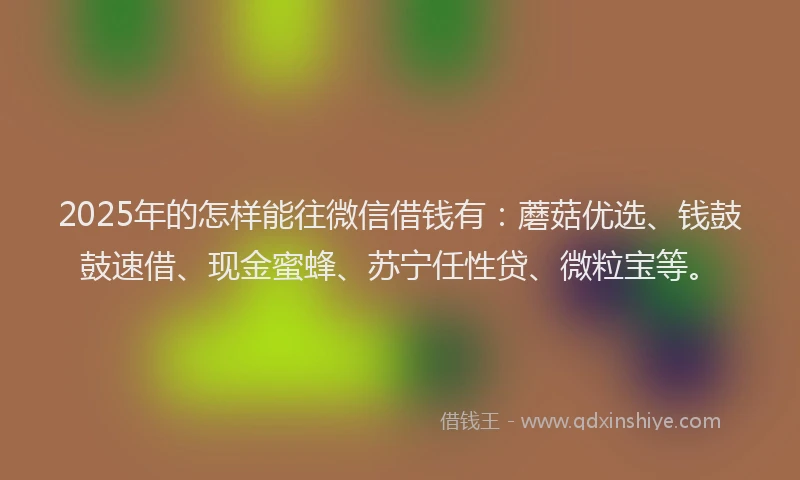 2025年的怎样能往微信借钱有：蘑菇优选、钱鼓鼓速借、现金蜜蜂、苏宁任性贷、微粒宝等。