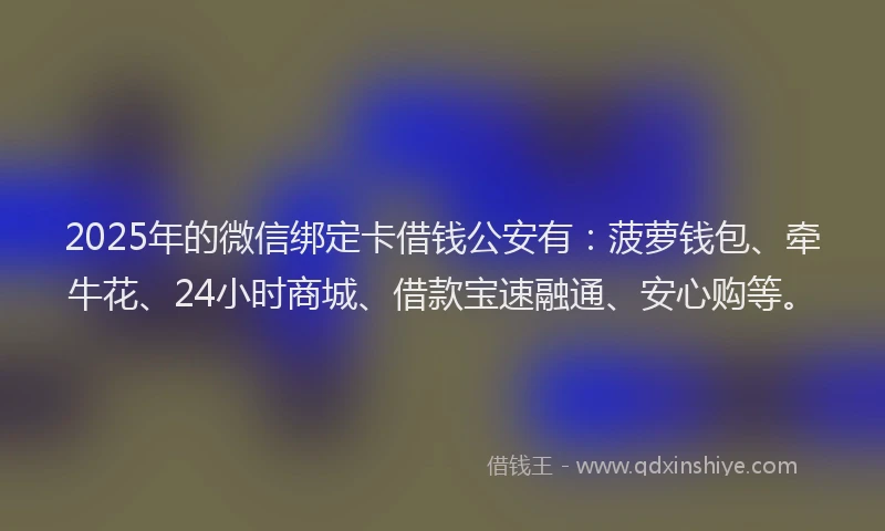 2025年的微信绑定卡借钱公安有：菠萝钱包、牵牛花、24小时商城、借款宝速融通、安心购等。