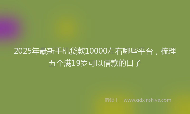 2025年最新手机贷款10000左右哪些平台，梳理五个满19岁可以借款的口子