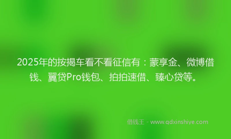 2025年的按揭车看不看征信有：蒙享金、微博借钱、翼贷Pro钱包、拍拍速借、臻心贷等。