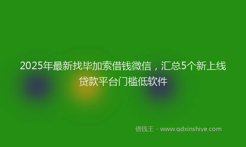 2025年最新找毕加索借钱微信，汇总5个新上线贷款平台门槛低软件
