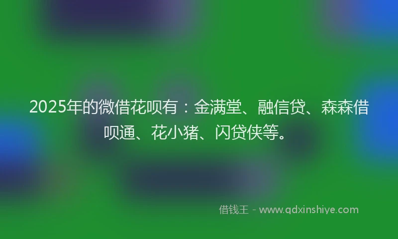 2025年的微借花呗有：金满堂、融信贷、森森借呗通、花小猪、闪贷侠等。