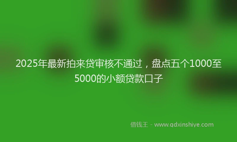 2025年最新拍来贷审核不通过，盘点五个1000至5000的小额贷款口子