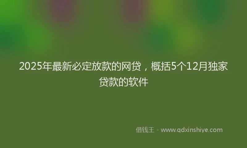 2025年最新必定放款的网贷，概括5个12月独家贷款的软件