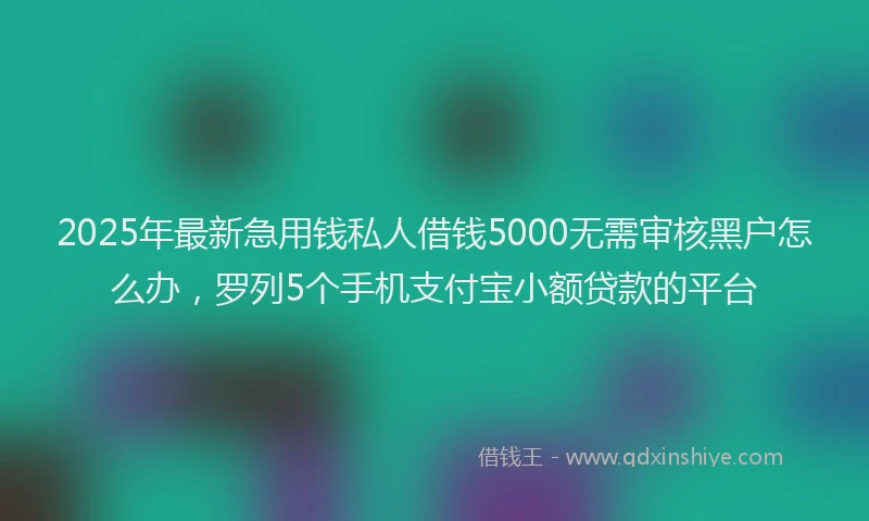 2025年最新急用钱私人借钱5000无需审核黑户怎么办，罗列5个手机支付宝小额贷款的平台