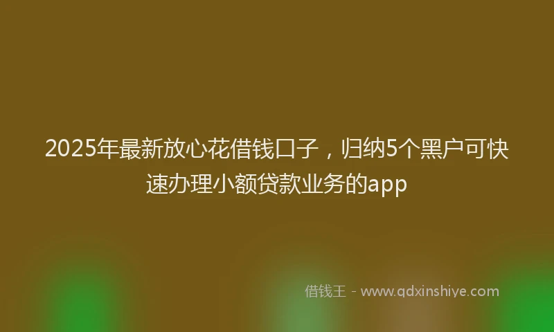 2025年最新放心花借钱口子，归纳5个黑户可快速办理小额贷款业务的app