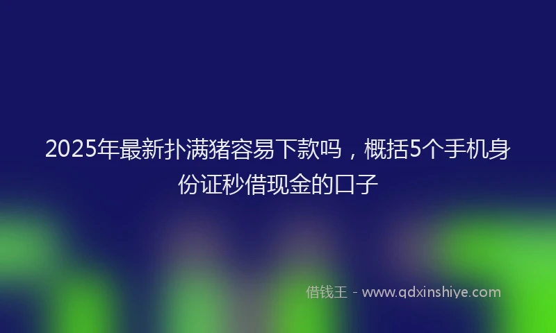 2025年最新扑满猪容易下款吗，概括5个手机身份证秒借现金的口子