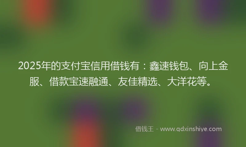 2025年的支付宝信用借钱有：鑫速钱包、向上金服、借款宝速融通、友佳精选、大洋花等。