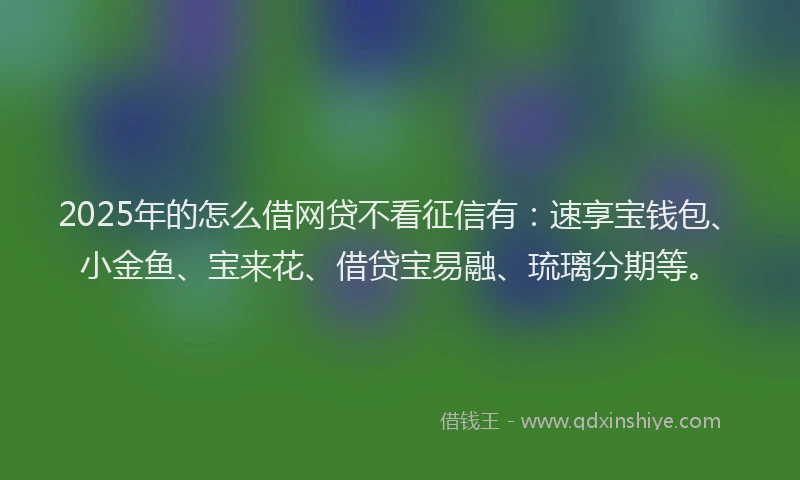 2025年的怎么借网贷不看征信有：速享宝钱包、小金鱼、宝来花、借贷宝易融、琉璃分期等。