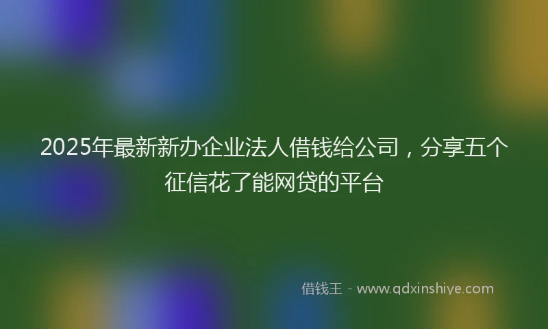 2025年最新新办企业法人借钱给公司，分享五个征信花了能网贷的平台