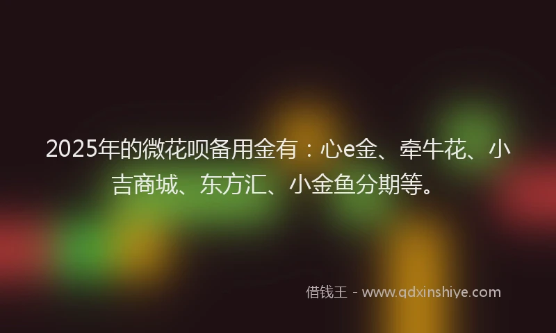2025年的微花呗备用金有：心e金、牵牛花、小吉商城、东方汇、小金鱼分期等。