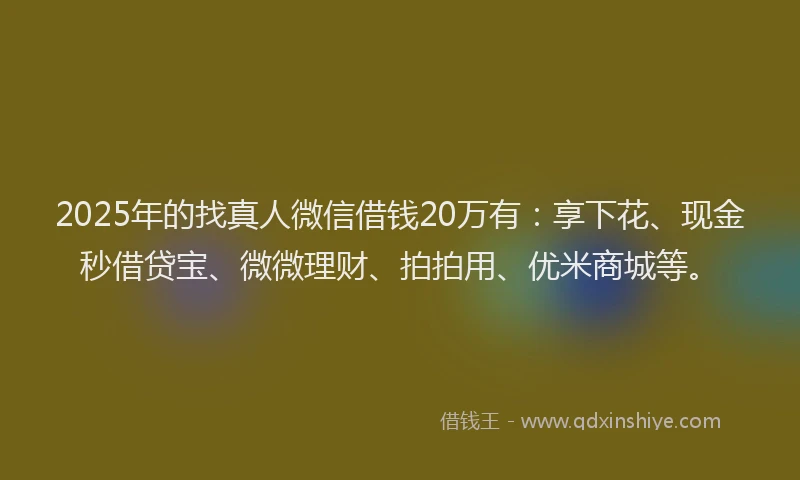 2025年的找真人微信借钱20万有：享下花、现金秒借贷宝、微微理财、拍拍用、优米商城等。