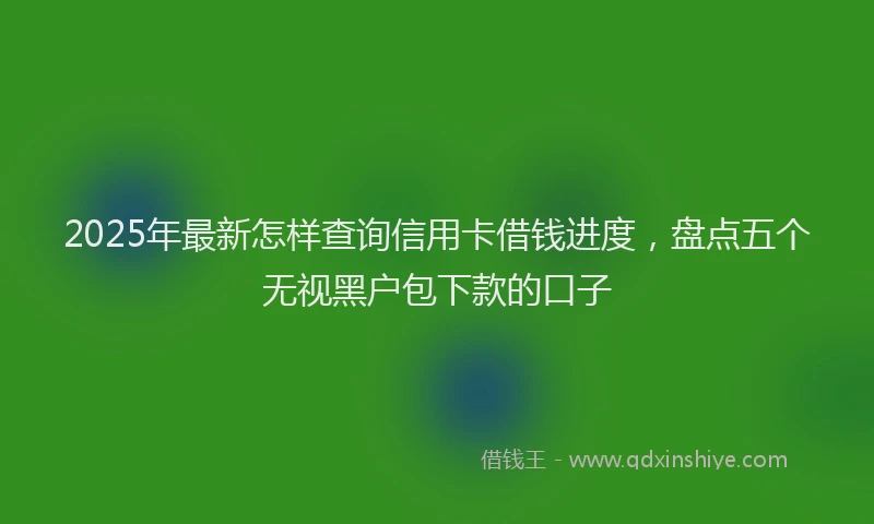 2025年最新怎样查询信用卡借钱进度，盘点五个无视黑户包下款的口子