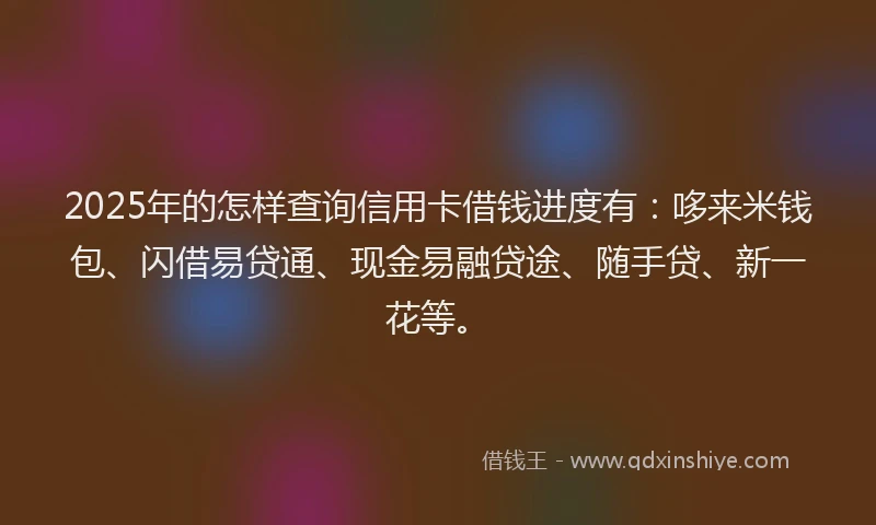 2025年的怎样查询信用卡借钱进度有：哆来米钱包、闪借易贷通、现金易融贷途、随手贷、新一花等。