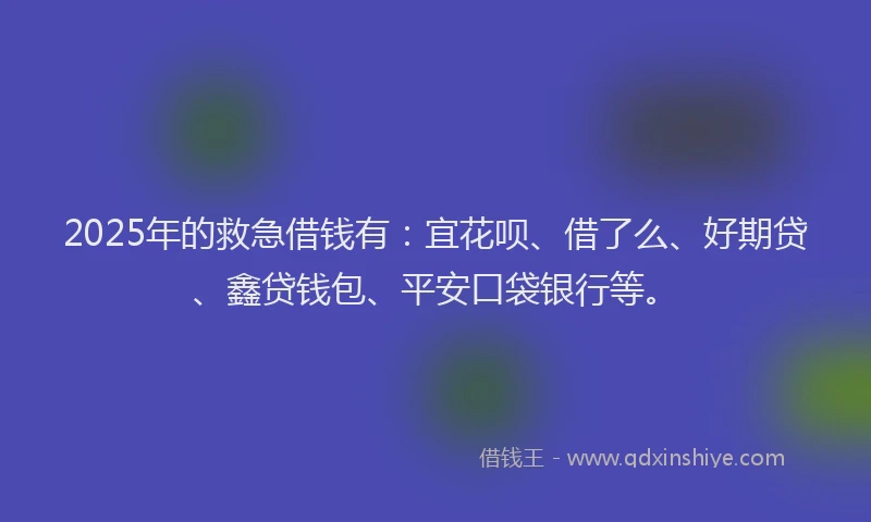 2025年的救急借钱有：宜花呗、借了么、好期贷、鑫贷钱包、平安口袋银行等。