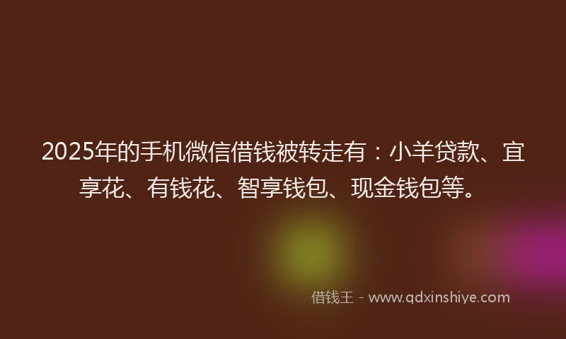 2025年的手机微信借钱被转走有：小羊贷款、宜享花、有钱花、智享钱包、现金钱包等。